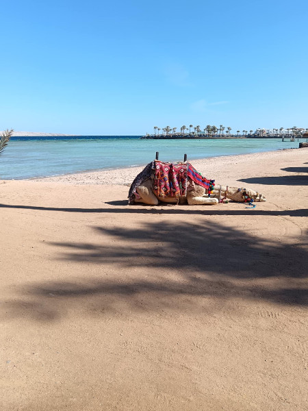 Tiba Golden Resort /Arábia soukromá pláž a bazény
